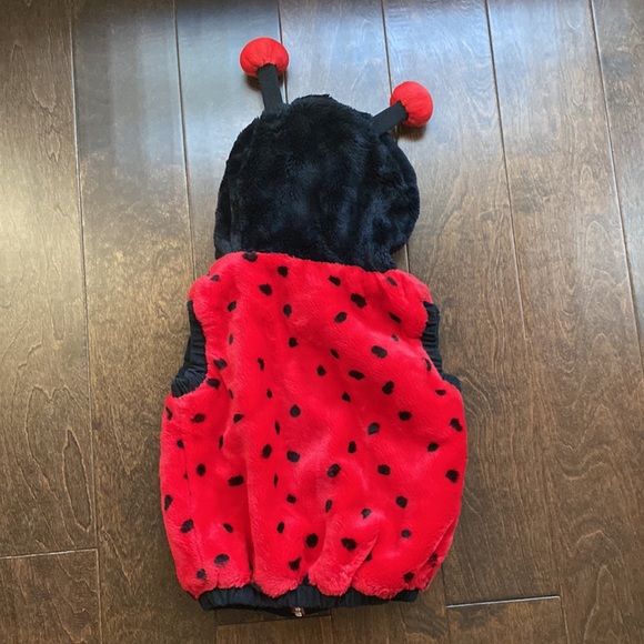 Plush Lady bug costume size 12-24 months - Picture 2 of 4